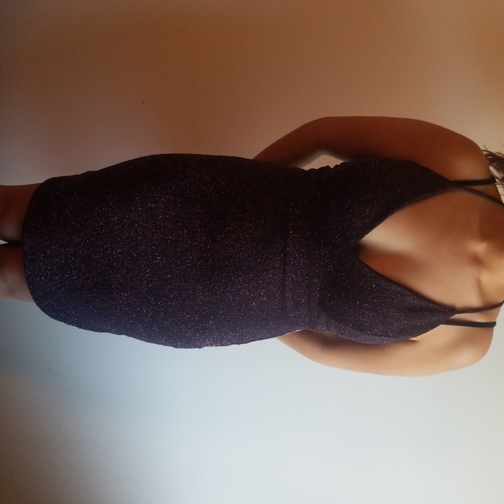 Dark, Shimmery, Purple Dress (Fancy)